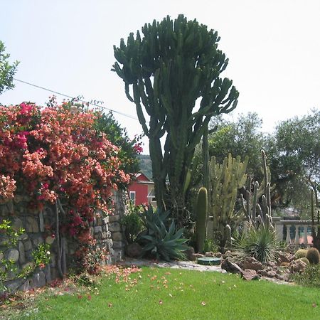 Villa Ca Dei Conti San Bartolomeo Al Mare Habitación foto