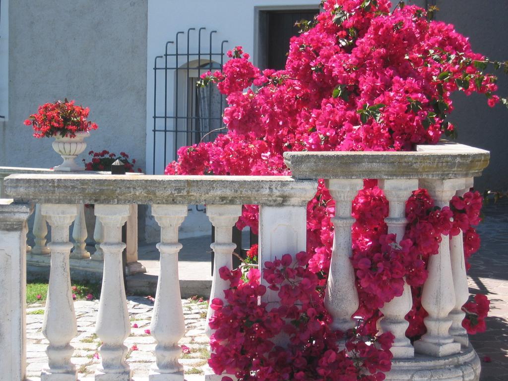 Villa Ca Dei Conti San Bartolomeo Al Mare Habitación foto